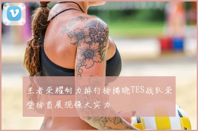 王者荣耀耐力排行榜揭晓TES战队荣登榜首展现强大实力
