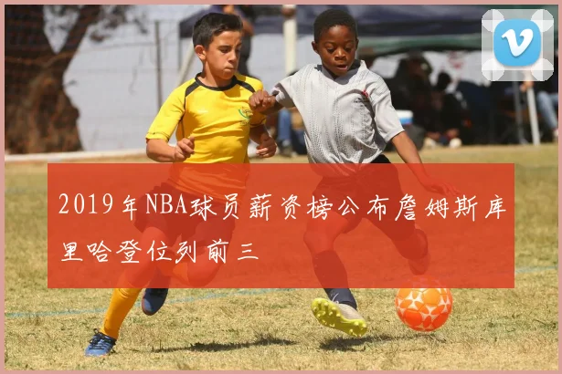 2019年NBA球员薪资榜公布詹姆斯库里哈登位列前三