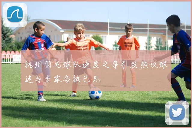 杭州羽毛球队速度之争引发热议球迷与专家各执己见