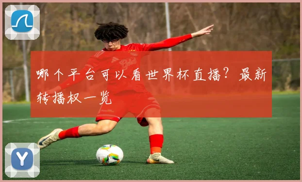 哪个平台可以看世界杯直播?最新转播权一览