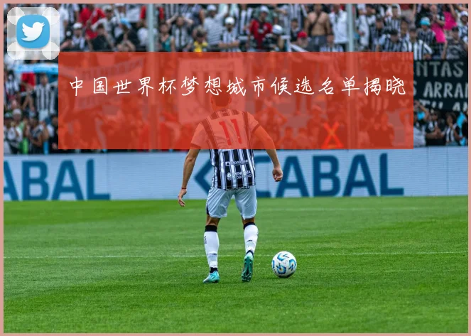 中国世界杯梦想城市候选名单揭晓