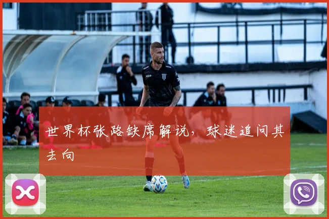 世界杯张路缺席解说，球迷追问其去向