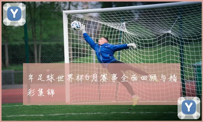 年足球世界杯6月赛事全面回顾与精彩集锦