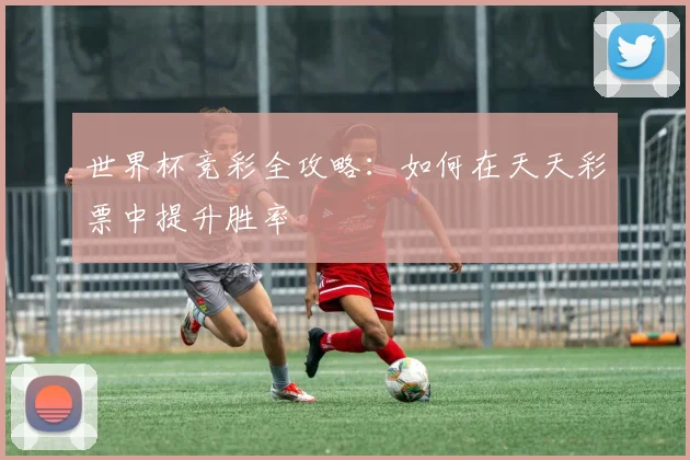 世界杯竞彩全攻略:如何在天天彩票中提升胜率