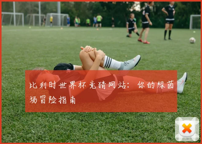 比利时世界杯竞猜网站:你的绿茵场冒险指南