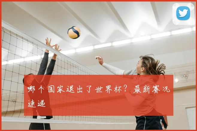 哪个国家退出了世界杯?最新赛况速递