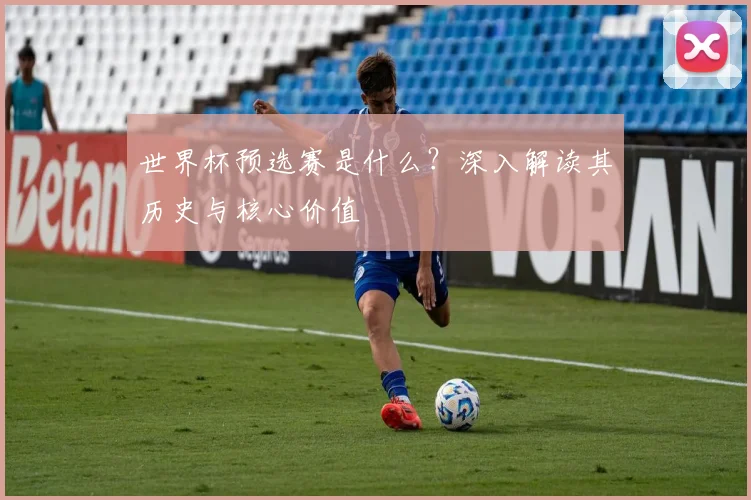世界杯预选赛是什么?深入解读其历史与核心价值