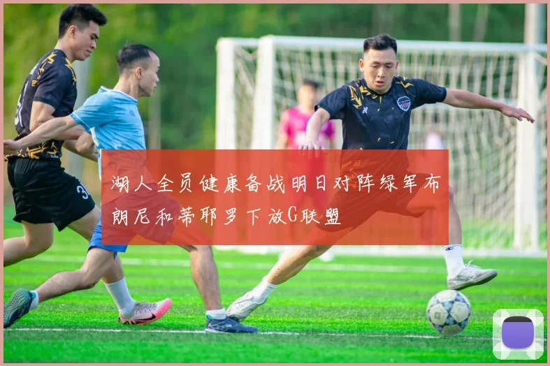 湖人全员健康备战明日对阵绿军布朗尼和蒂耶罗下放G联盟