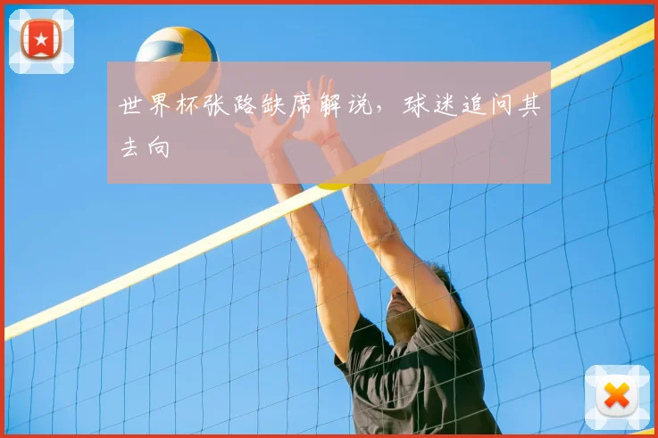 世界杯张路缺席解说，球迷追问其去向
